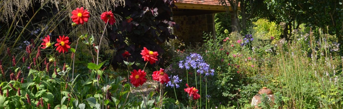 Burrow-Farm-Gardens-19-Large-1100x350 Burrow-Farm-Gardens-19-Large-1100x350