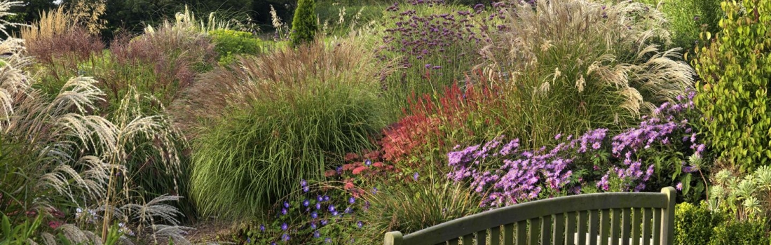 Burrow-Farm-Gardens-29-Large1-1100x350 Burrow-Farm-Gardens-29-Large1-1100x350