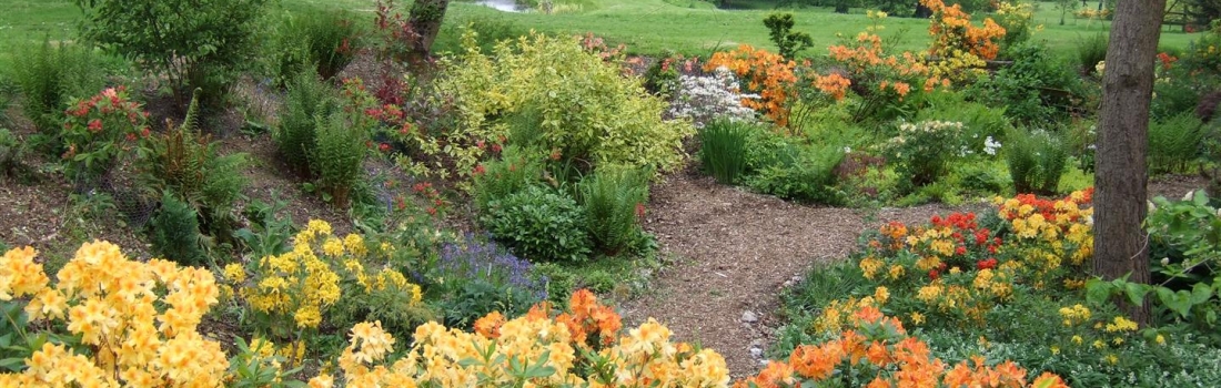 Burrow-Farm-Gardens-8-Large-1100x350 Burrow-Farm-Gardens-8-Large-1100x350