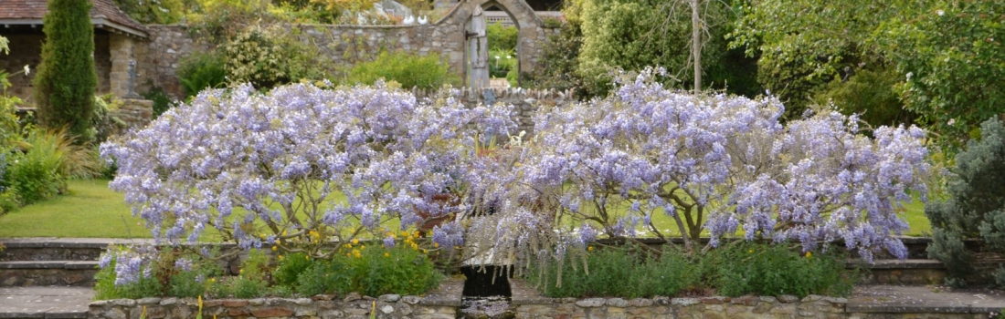 Burrow-Farm-Gardens-Visit-Devon-Holiday-South-west-Axminster-2-Copy-1100x350 Burrow-Farm-Gardens-Visit-Devon-Holiday-South-west-Axminster-2-Copy-1100x350