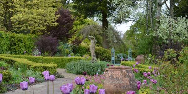 Burrow-Farm-Gardens-14-Rose-Garden-Medium-600x300 Burrow-Farm-Gardens-14-Rose-Garden-Medium-600x300