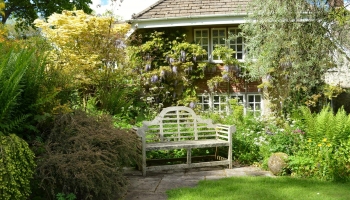 Burrow-Farm-Gardens-25-Large-350x200 Burrow-Farm-Gardens-25-Large-350x200
