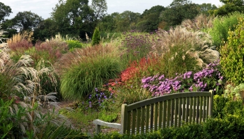 Burrow-Farm-Gardens-Devon-Visit-Coach-7-350x200 Burrow-Farm-Gardens-Devon-Visit-Coach-7-350x200