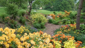 Burrow-Farm-Gardens-8-Large-350x200 Burrow-Farm-Gardens-8-Large-350x200
