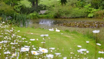 Burrow-Farm-Gardens-Devon-Visit-Coach-3-350x200 Burrow-Farm-Gardens-Devon-Visit-Coach-3-350x200