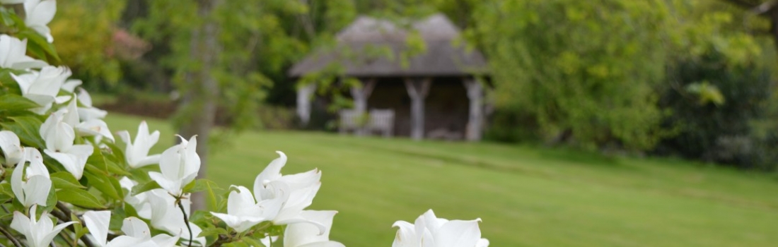 Burrow-Farm-Gardens-7-SummerHouse-Medium-1100x350 Burrow-Farm-Gardens-7-SummerHouse-Medium-1100x350