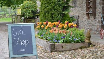 Burrow-Farm-Gardens-8-Gift-Shop-Medium-350x200 Burrow-Farm-Gardens-8-Gift-Shop-Medium-350x200