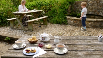 Burrow-Farm-Gardens-9-Tea-Room-Medium-350x200 Burrow-Farm-Gardens-9-Tea-Room-Medium-350x200