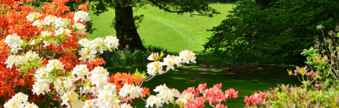 Burrow-Farm-Gardens-Visit-Devon-Holiday-South-west-Axminster-21-Copy-1100x350 Burrow-Farm-Gardens-Visit-Devon-Holiday-South-west-Axminster-21-Copy-1100x350